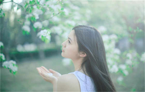 新抚验血查男女几周可以验(验血查男女结果图)